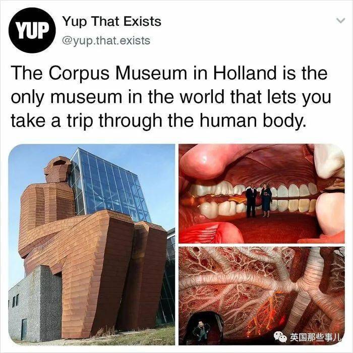 世界各地那些有趣又脑洞的真实存在，看了让人大开眼界啊！