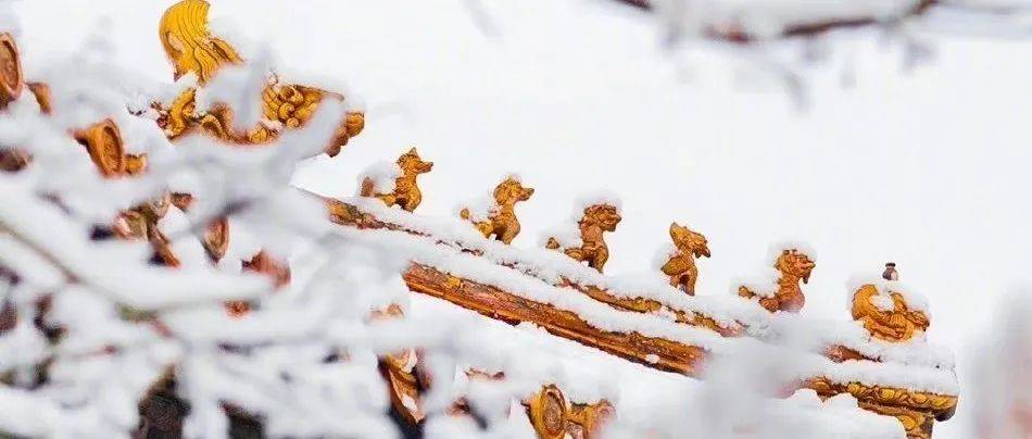 南方人的福音?共赏各地下雪盛况_初雪_snow_同学