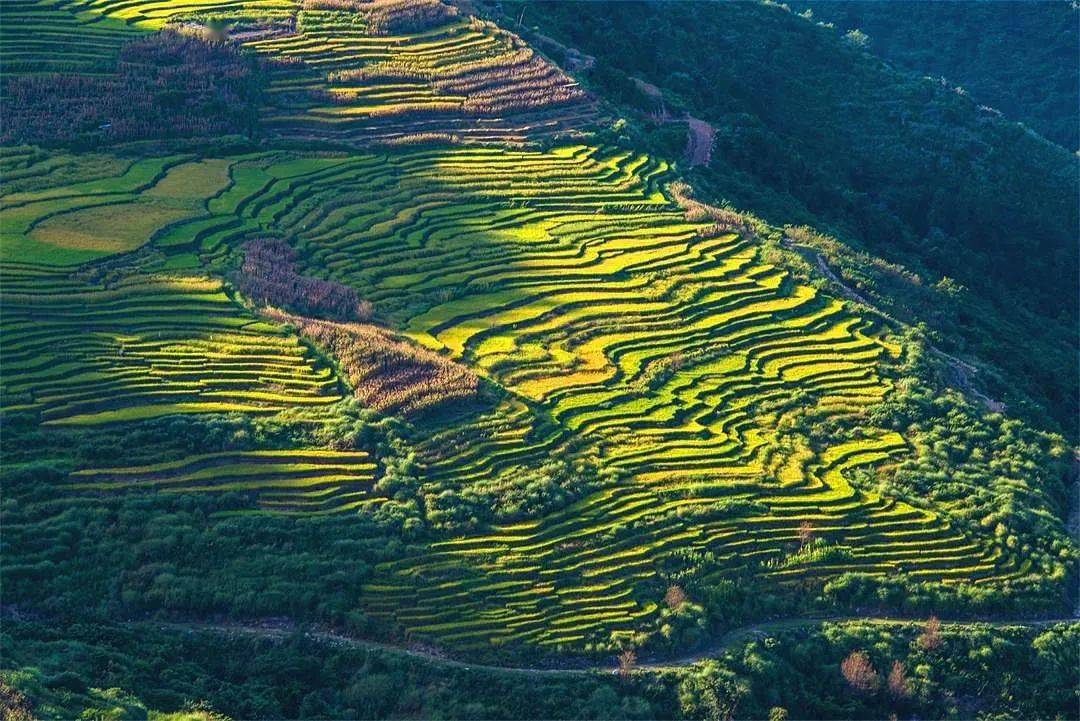 跟着中老铁路游玉溪丨"一日一景"——元江羊街乡_崔文俊_杨晓东_梯田