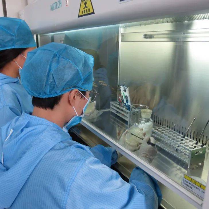 回眸2021年 百色市食品药品检验所精“检”施“测”呈现七个亮点抽检检测技术 