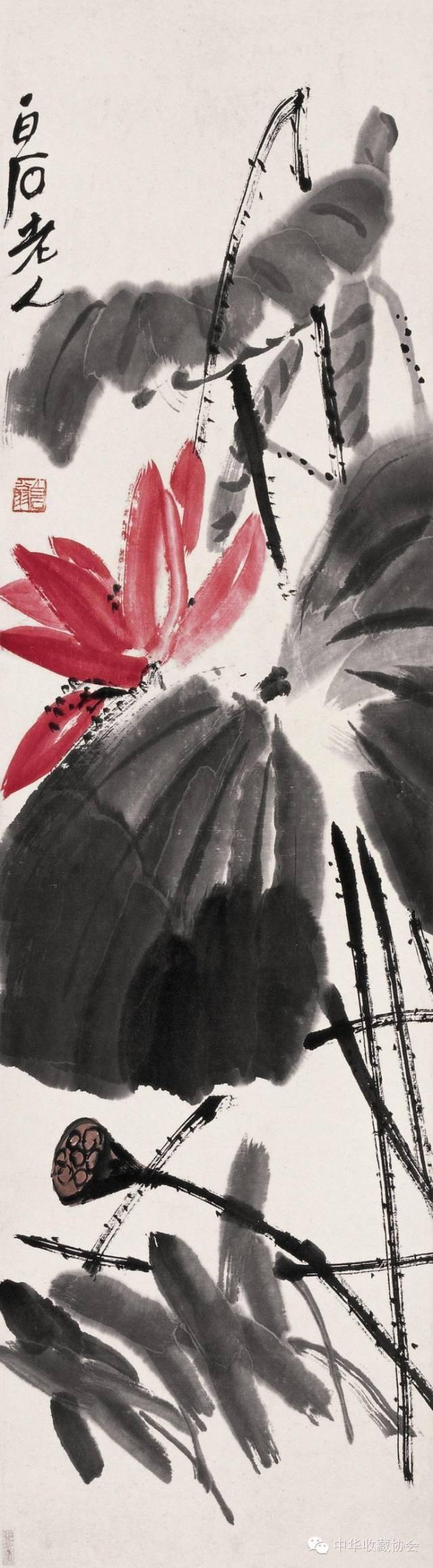 30张齐白石的荷花:淡妆浓抹总相宜!_作品_写意_全集