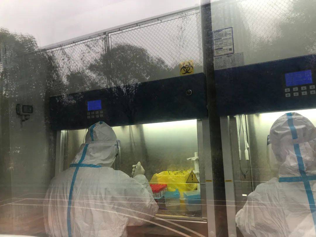 上海嘉定四家二级医院启用移动PCR实验室！