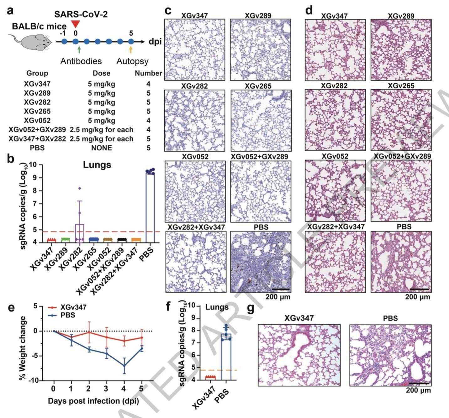 灭活疫苗对奥密克戎效果如何？通用疫苗有何策略？中国团队《自然》发文