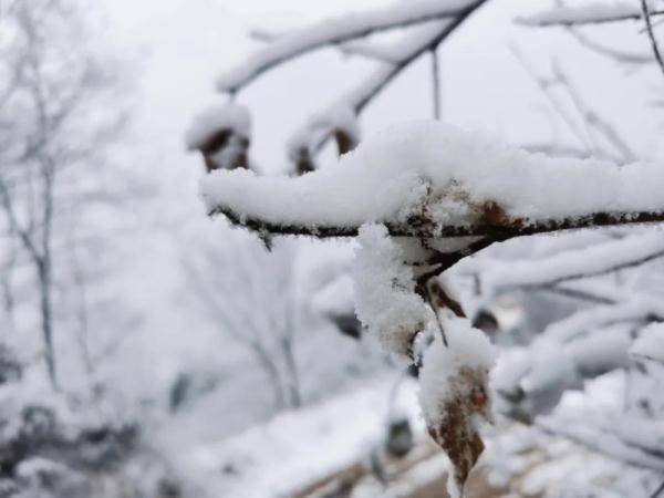 诗意|马鞍山横山风景区：雪景如画