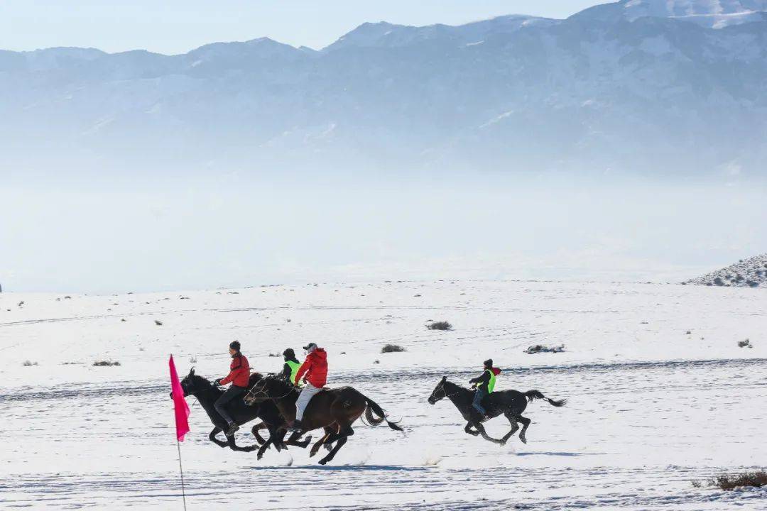 赛马雪上叼羊冰上碰碰车温泉这场冰雪那达慕无限精彩