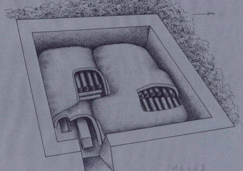 列棺阵阵古冢沉香靖安李洲坳东周墓葬