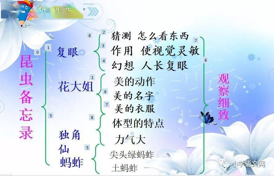 三年级下册语文课文4昆虫备忘录图文解读