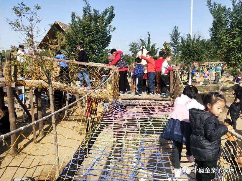 乐园|门票免费领！樱花小镇虎年欢乐会等你来！一站式趣享萌宠乐园、高空秋千、网红桥等20+娱乐设施！