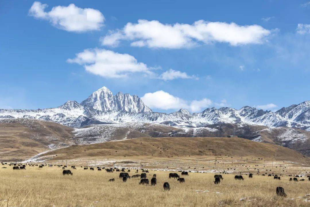 世界屋脊|中国最不适宜居住的地方，竟然这么好吃？难怪有些人过年都想去！