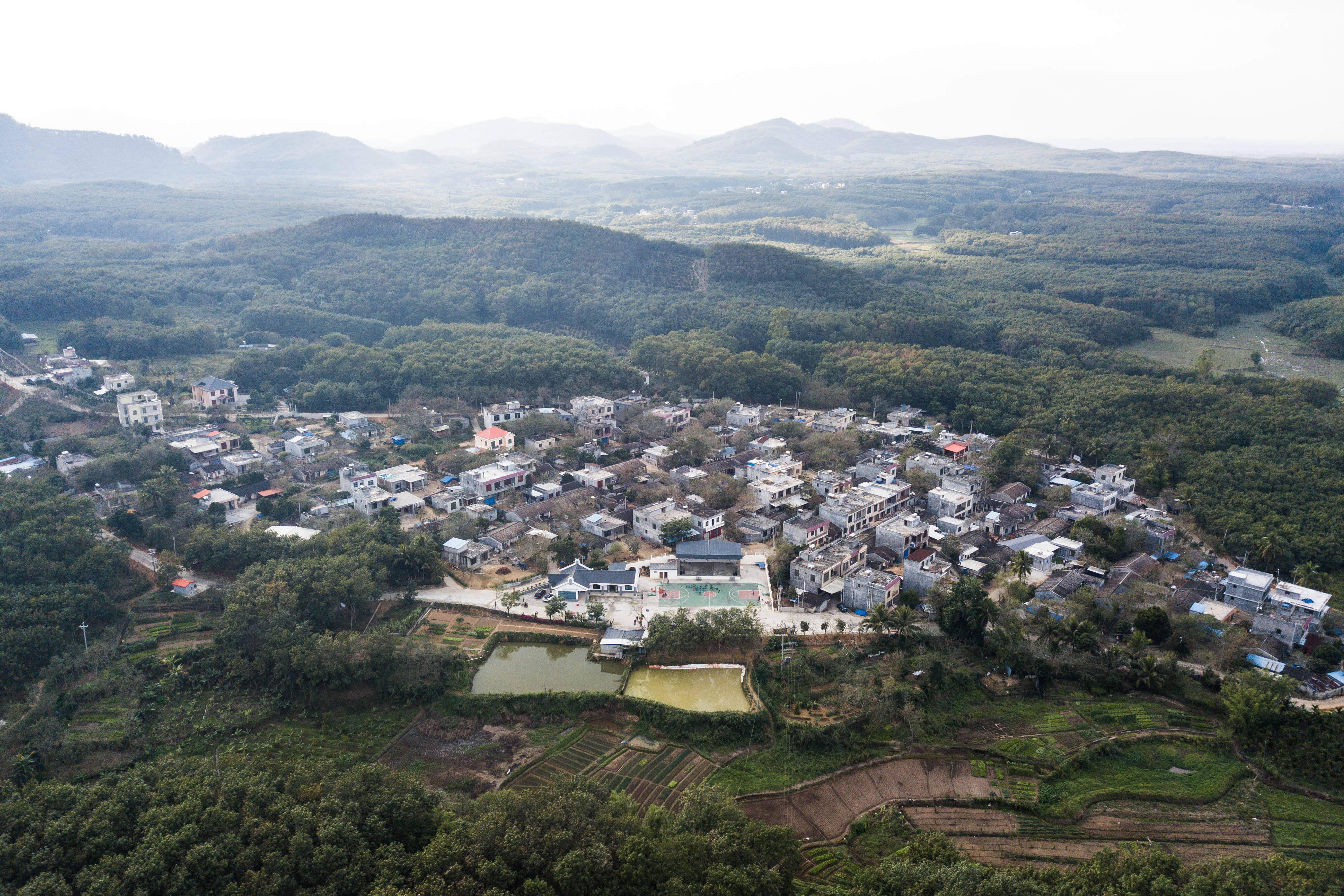 赣州市瑞金市瑞林镇苏地有多少人口_瑞林镇地图 瑞林镇卫星地图 瑞林镇高清(3)