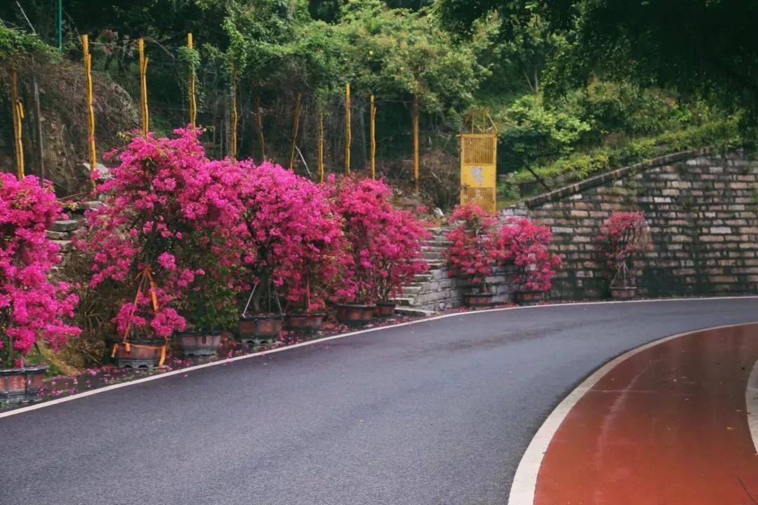 厦门|再冷下雨天，也挡不住厦门人拜拜！南普陀求平安、仙岳山求姻缘...春节祈福，厦门寺院哪家灵？