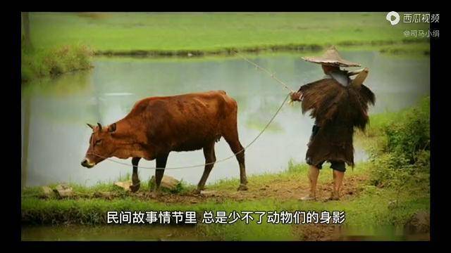 1997年的大年初一黄鼠狼在庙里向一位烧香拜佛的农民讨封