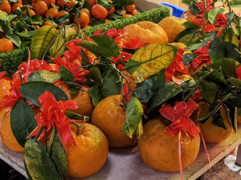 网络中国节大年初一拜大年带上两对潮州柑