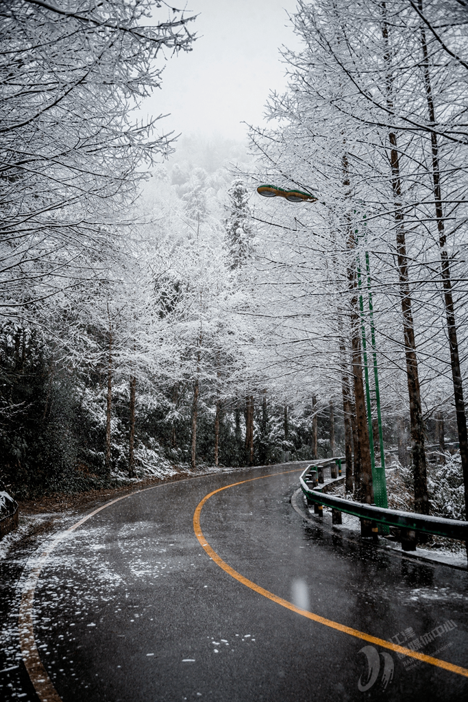 银装素裹四面山雪景太美啦