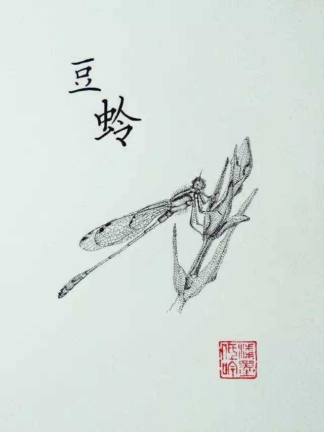 黑白针管笔点画法画出的昆虫插画