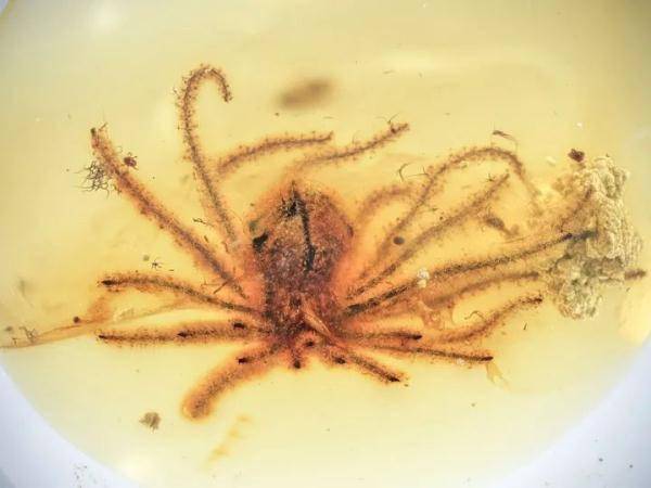 牛！山东这个团队