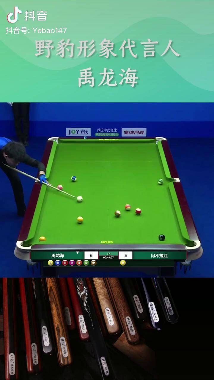 野豹形象代言人 禹龙海 接清中式台球 台球 台球是一种生活_龙海_台球