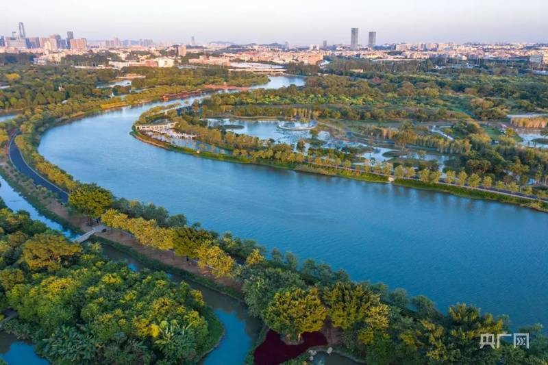 公园|【组图】世界湿地日，打卡广州“城央绿心”海珠国家湿地公园