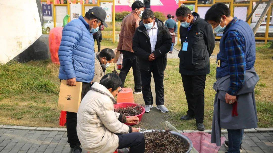 石羊镇|在都江堰过年 | 避开拥堵，来一场沉浸式乡村游！