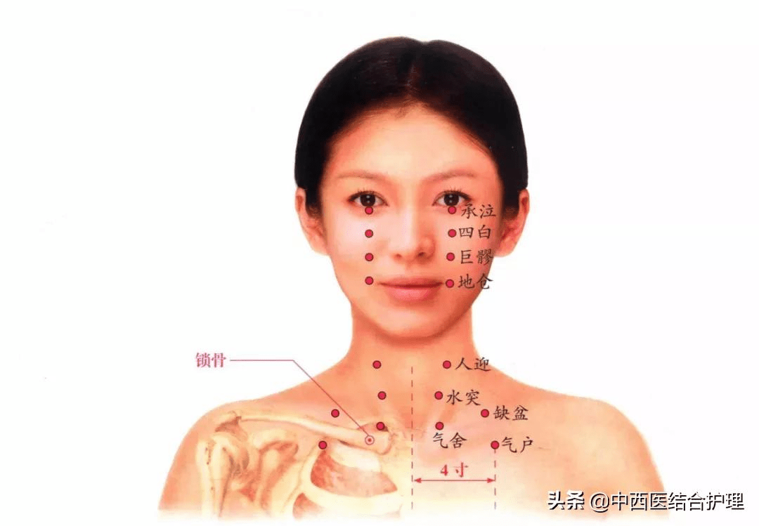 經絡養生圖女性經絡高清圖什麼穴位治什麼病一目瞭然