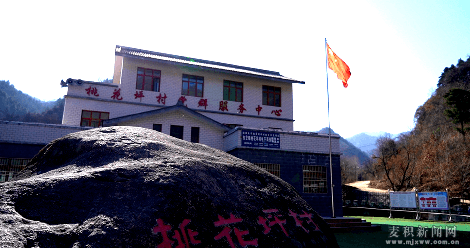 奋斗百年路启航新征程巩固拓展脱贫攻坚成果麦积区东岔镇桃花坪村依托