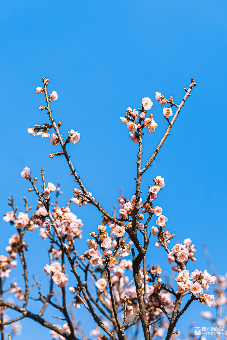 8c158a6dfb12427d99a898b5f52ba159.png