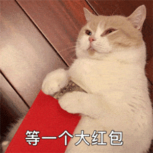 表情包又到了收红包还要假装不好意思