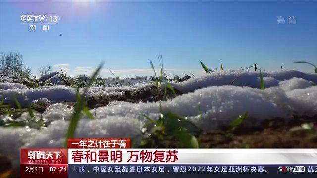 农业|农业农村部多措并举夯实粮食丰收基础