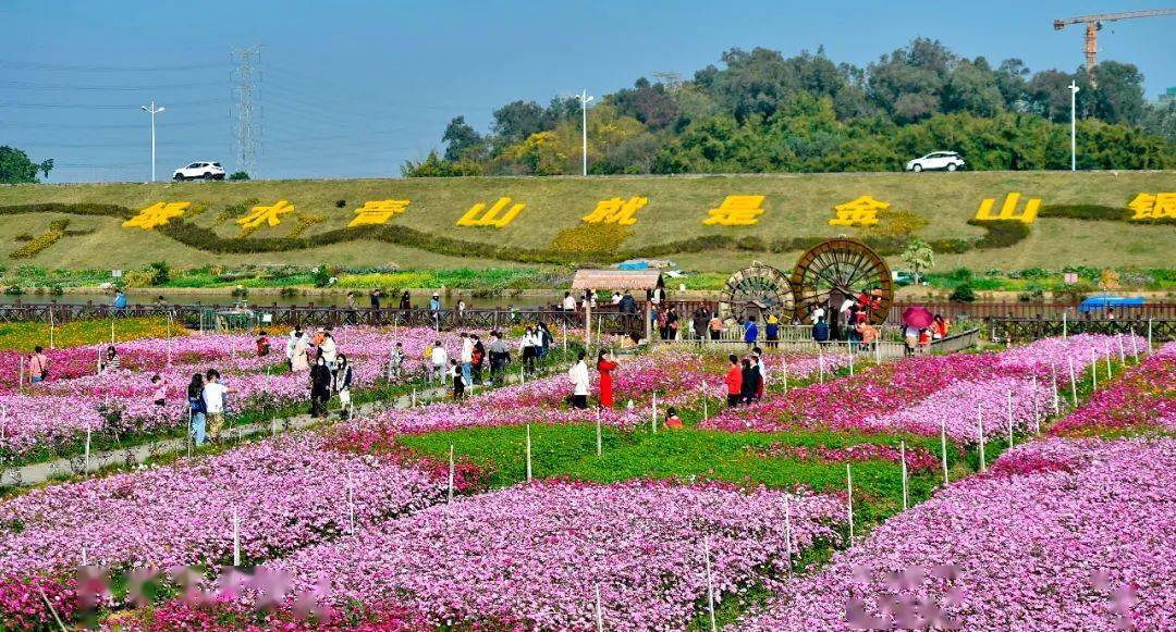 佛山花海免费景点图片