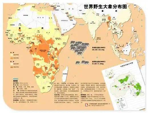 课程资源2022年春晚背后的故事万象回春中的吉象如意