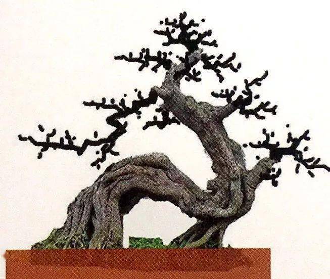 6株桩材绘制盆景设计图曲干式盆景经典造型模版一网打尽
