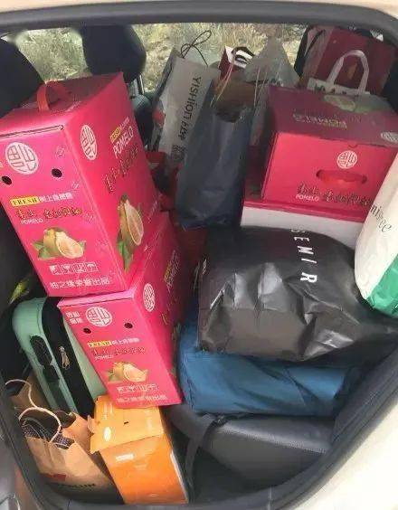 3只大鹅9只鸽子40只鹌鹑春节返乡后备箱年货大赏上热搜网友差点坐车顶