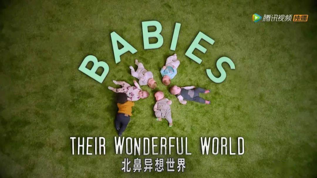 bbc 纪录片 全套 e43138a3c0c843aead97458dd5c4aa8c.jpeg