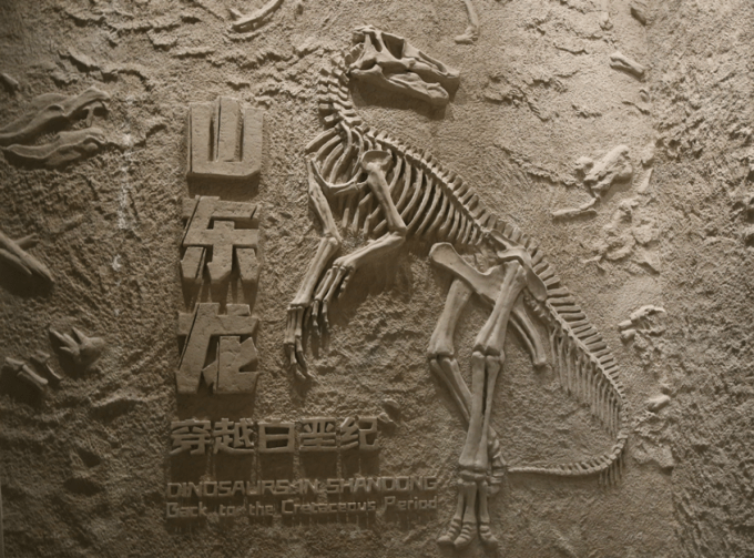 山东省博物馆恐龙和矿物世界展开展