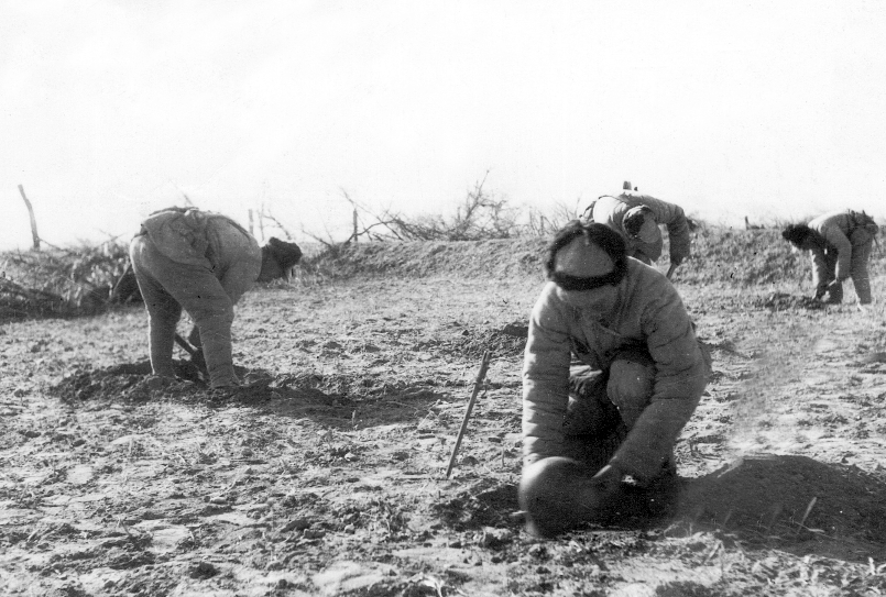 391e4cce1deb41e9b947d0f827f0a3c7.png