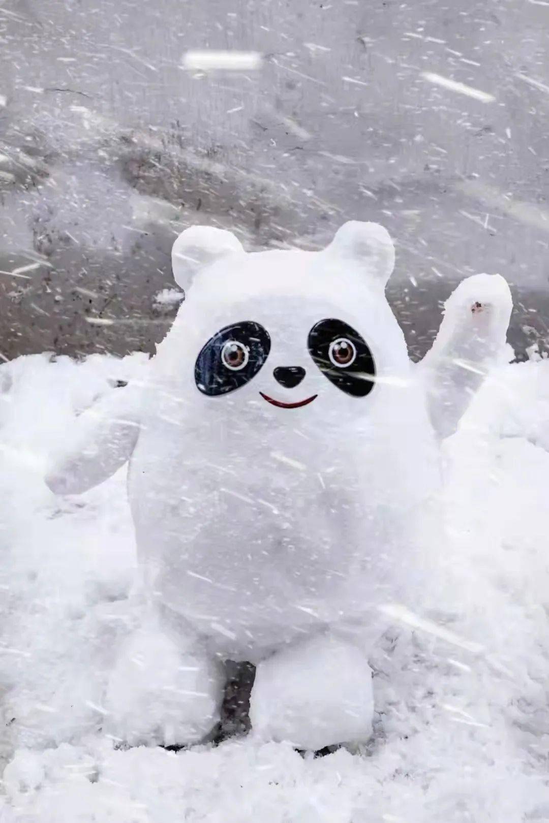 大雪刷白了武汉网友终于实现冰墩墩自由了