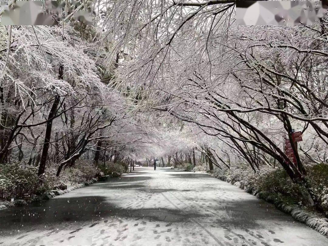 返工后的第一场雪，格外大～