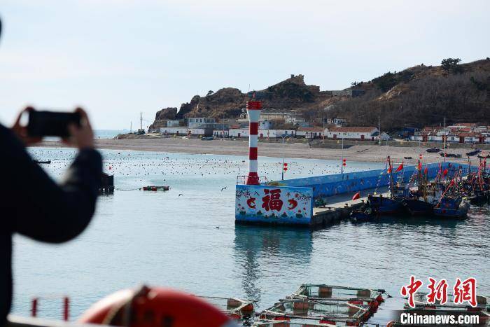 杨兵|“渤海前哨”的海岛年味