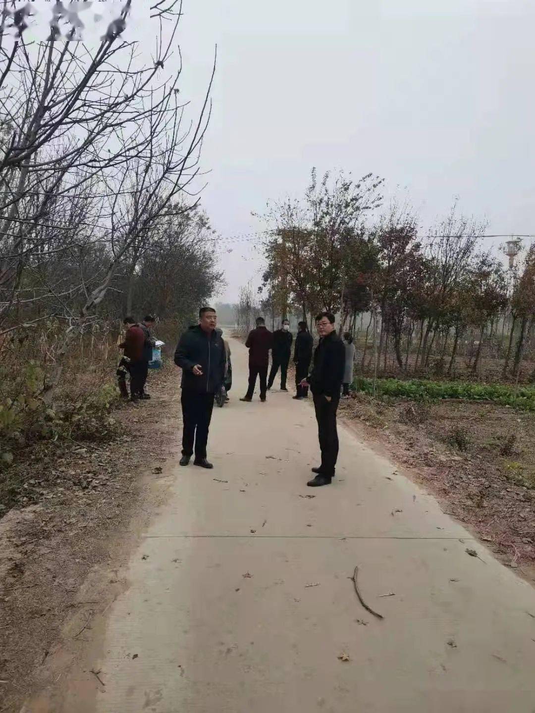 征地740亩定州东边这两个村又有大动作看看有你们家白