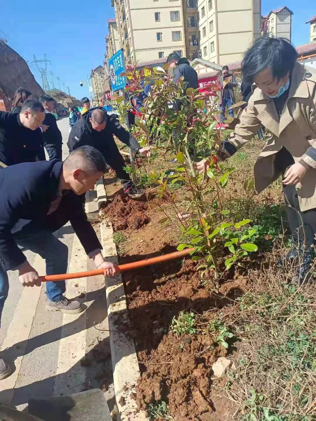威宁各乡镇街道开展义务植树活动