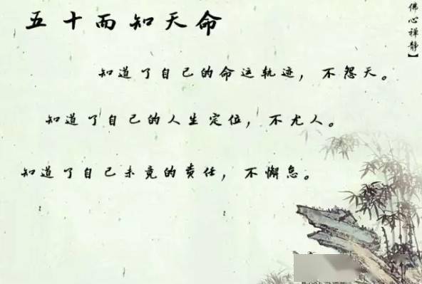42c68034e5fa45a78ef7bd16676a0a81.jpeg