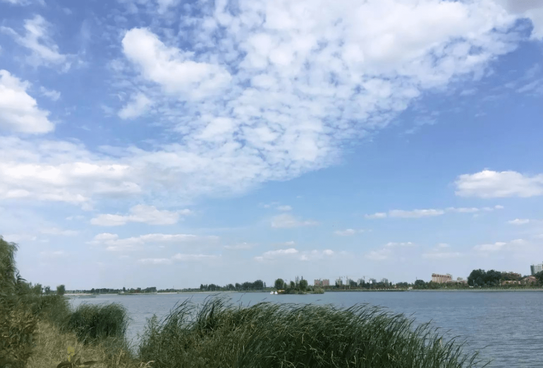 过完年别走了留在南乐吧