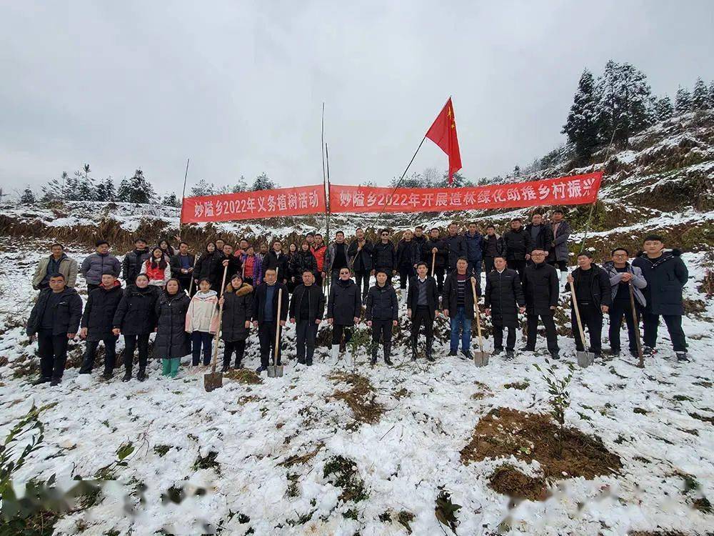 妙隘乡植树木树镇植树平头镇植树普觉镇植树瓦溪乡植树永安乡植树长兴