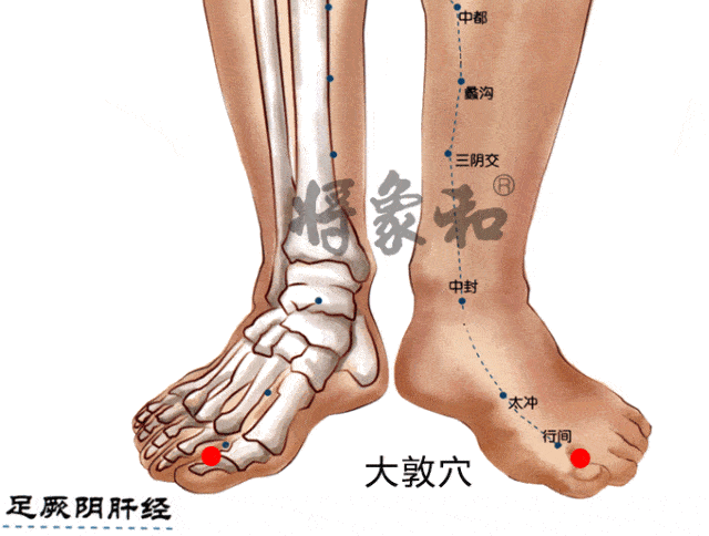 大敦穴是肝经的井穴;中医讲肝藏血,所以肝经上的大敦穴能治疗出血症