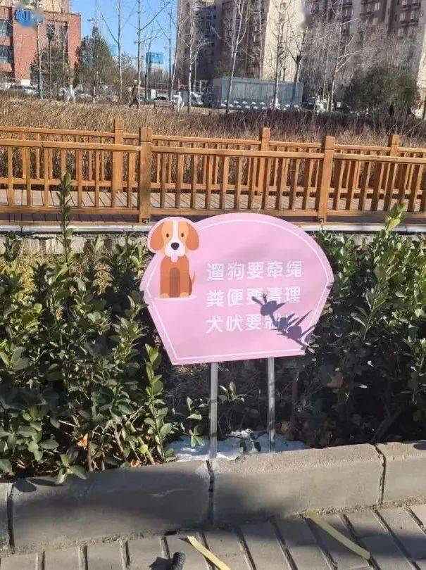 在新凤河两侧路边,印有可爱卡通小狗的文明提示牌,时刻提醒着遛狗居民