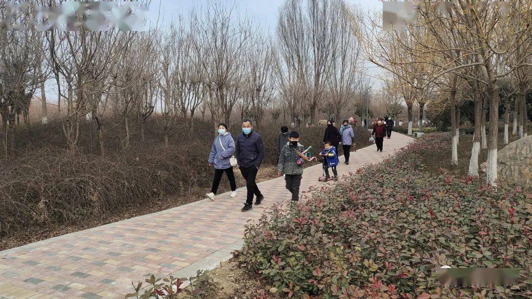 南乐新晋网红打卡地广大群众娱乐休闲的新去处67看看是哪吧