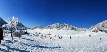 神龙|关于金佛山景区2月9日、10日门票预约已达饱和的公告