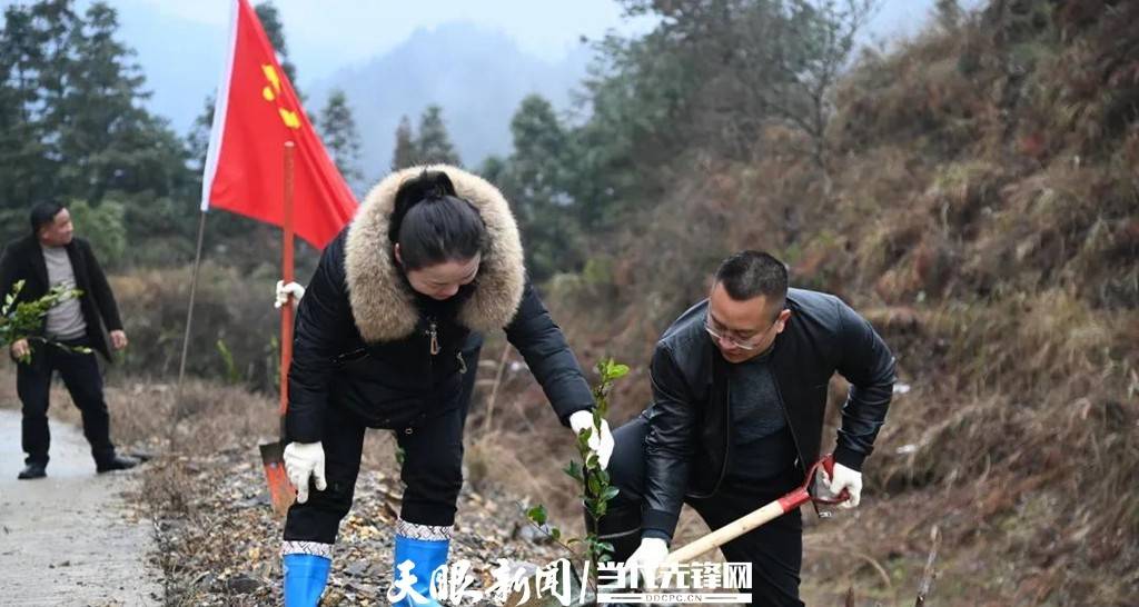 剑河县敏洞乡组织开展春季义务植树活动