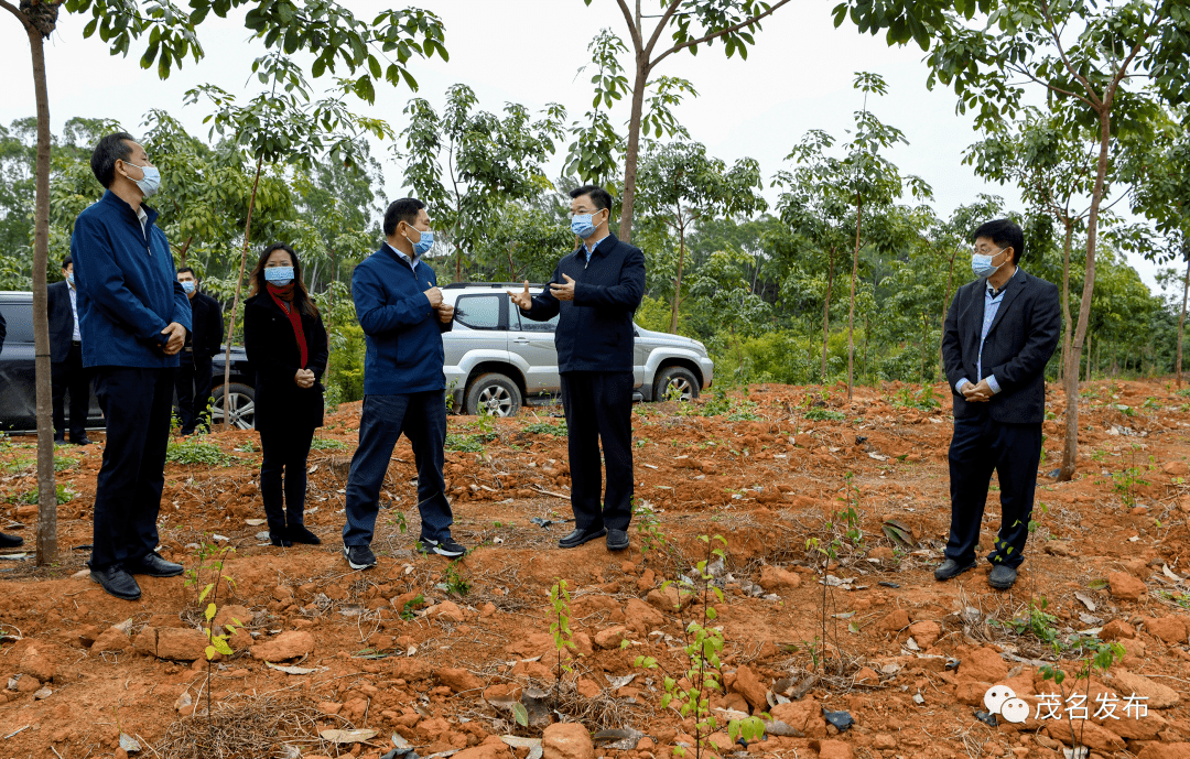 ​庄悦群调研茂名农垦工作:推动垦地在新发展阶段深度融合发展