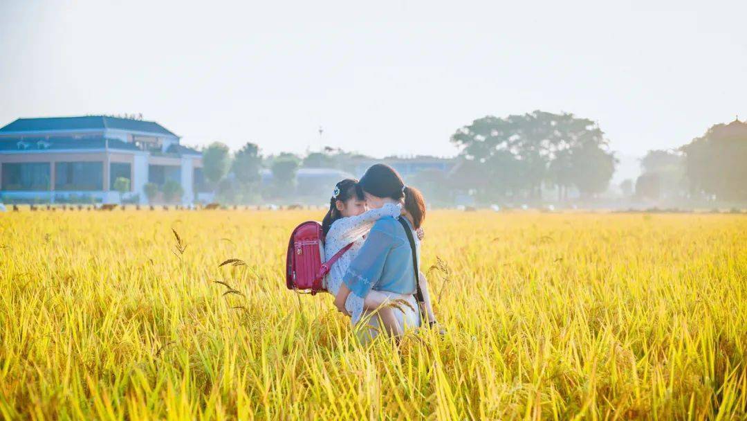 附近有没有收购稻谷的地方 f9c7cf55478c49248122087a11ff0d8d.jpeg